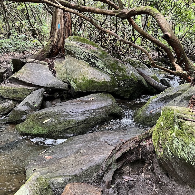 a rocky stream